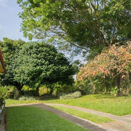 Finca Cafetera En El Quindio Quimbaya Exteriör bild